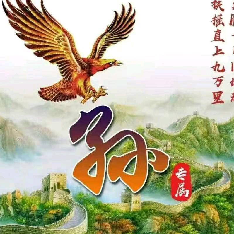 无敌白衣天使