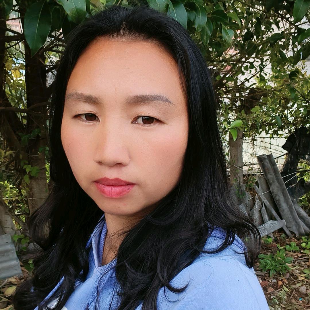 会菊
