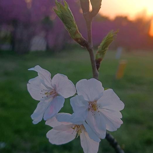 এ᭄落🍂的秋ꦿ⁵²