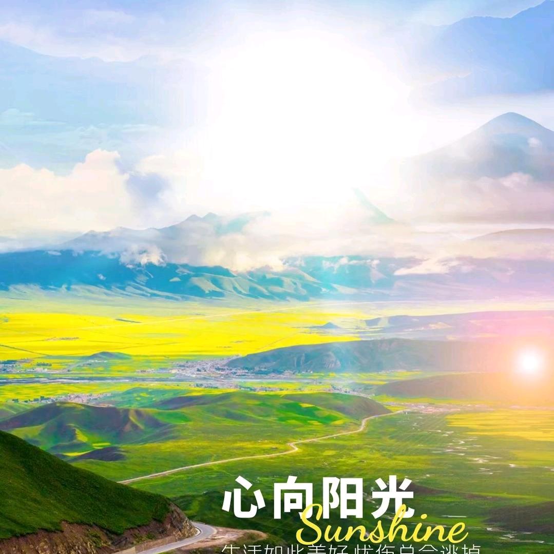 翻后花园的小斗