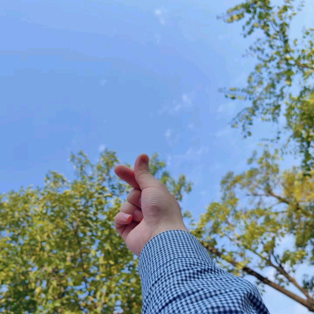 闲情逸致