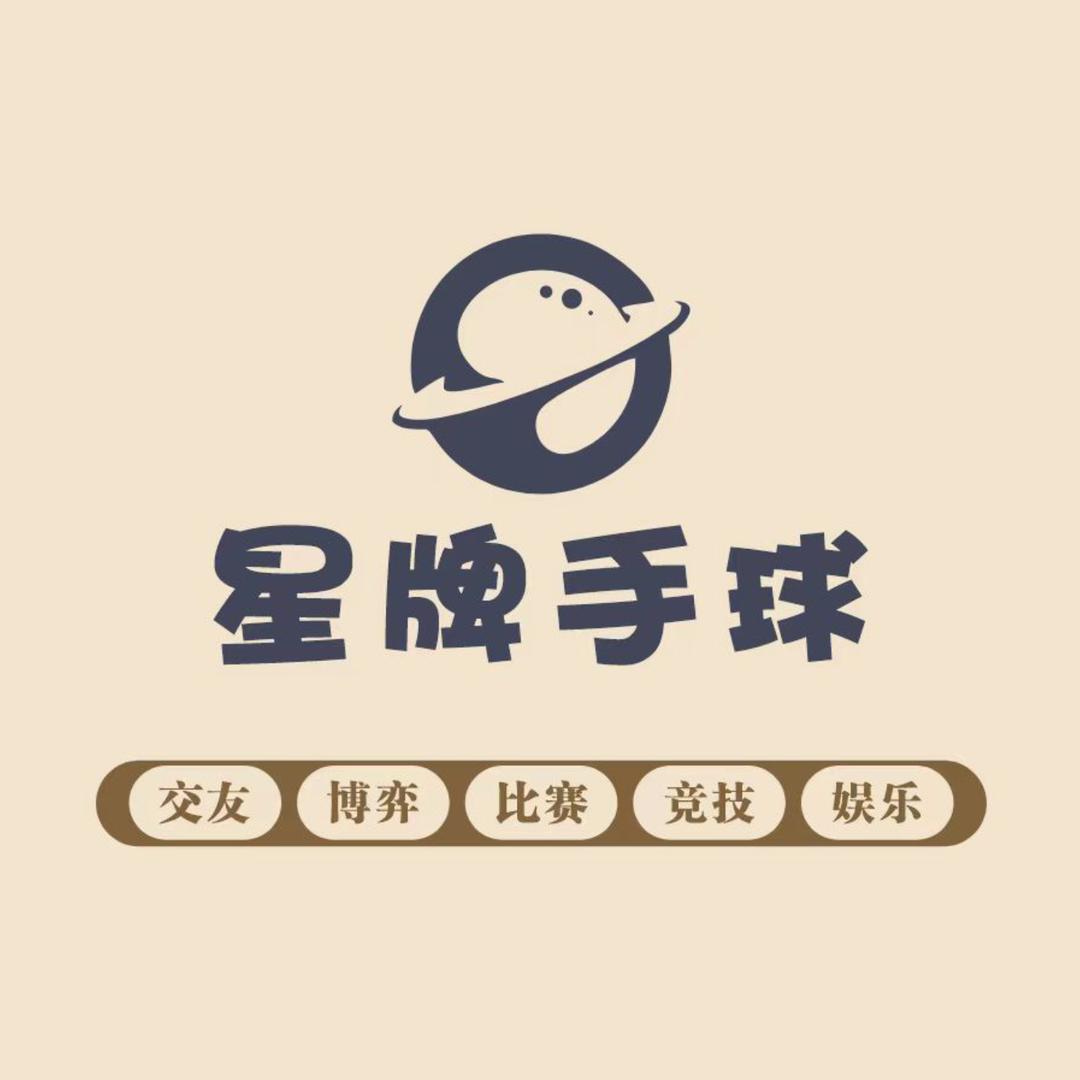 星牌手球001