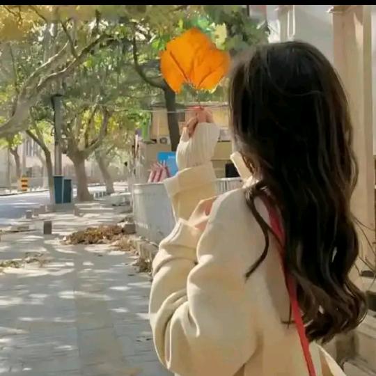 @花花🌾