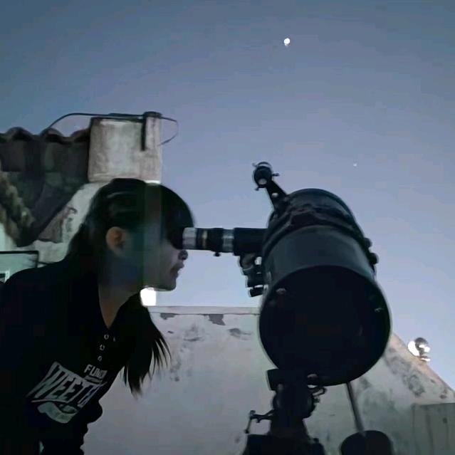 林。。