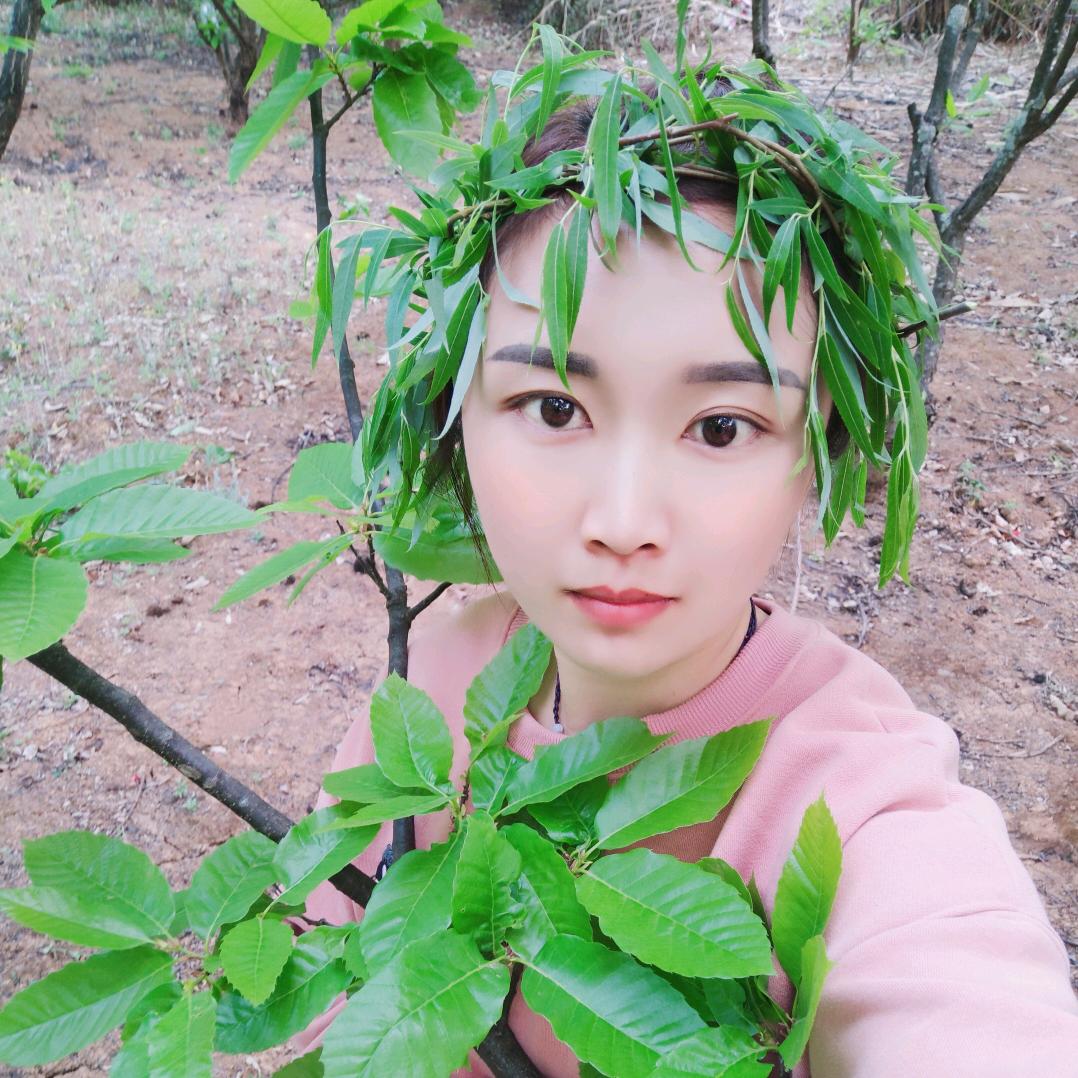 楊阳