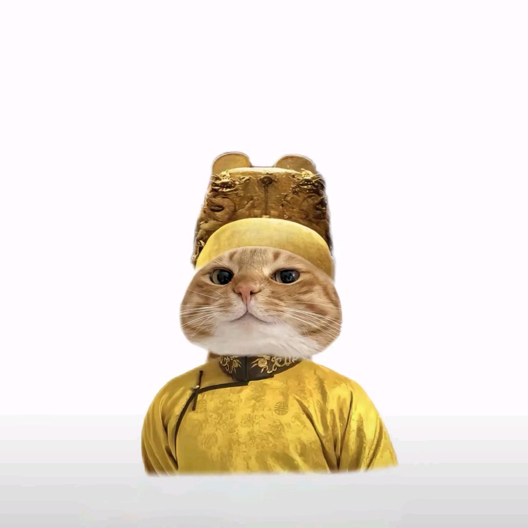 橙子吃猕猴桃