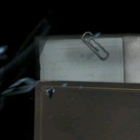 ₍˄·͈༝·͈˄*₎◞ ̑̑