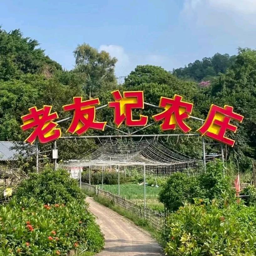 老友记农庄（广东中山）