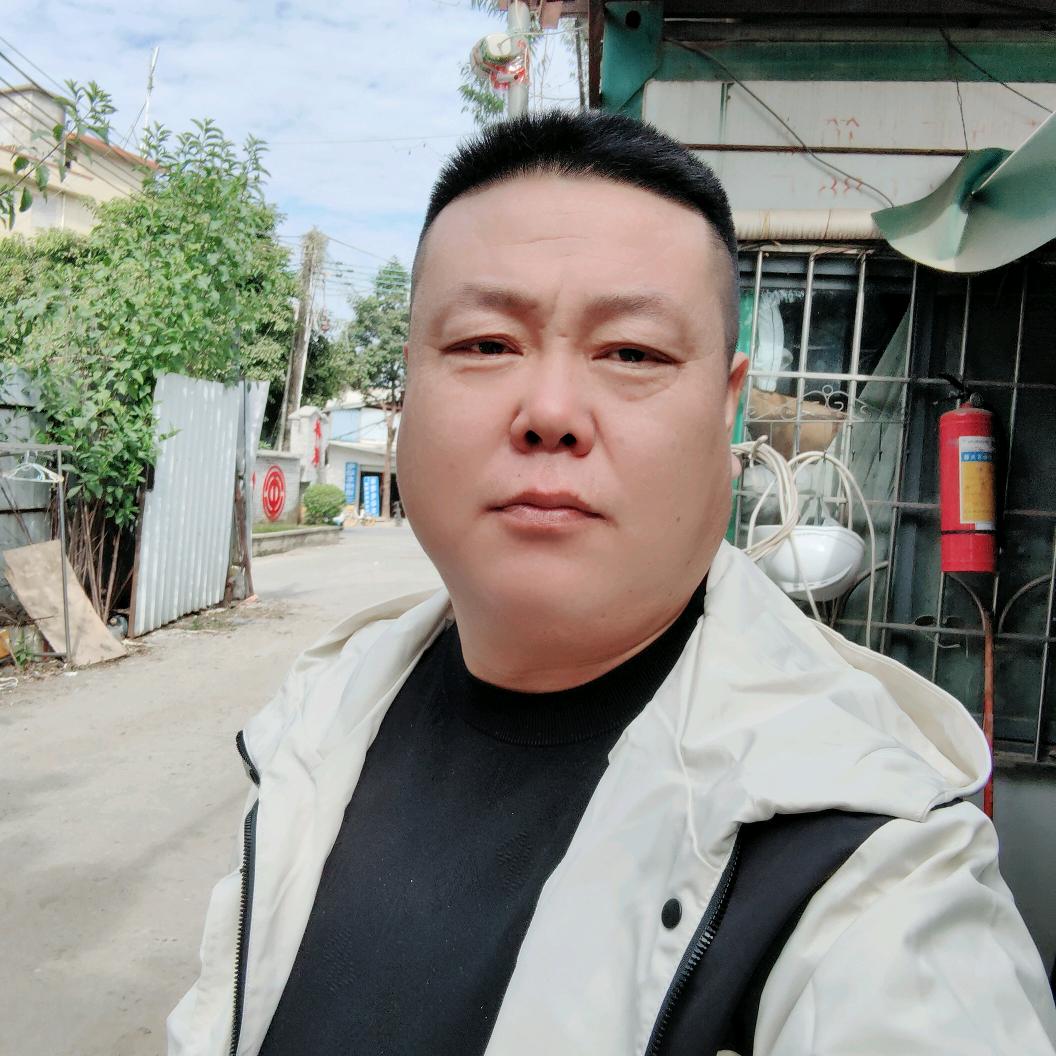 自由飞翔