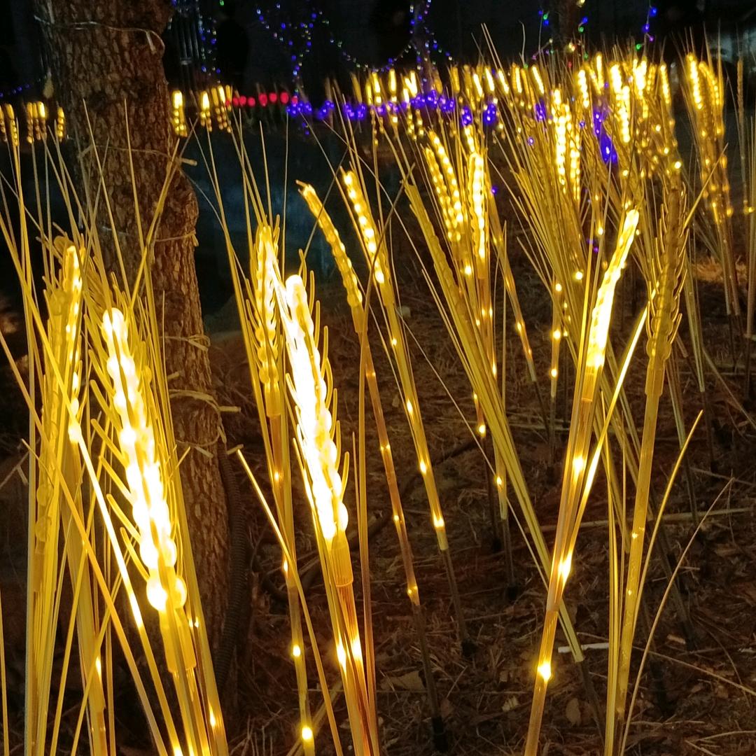 岁月静好