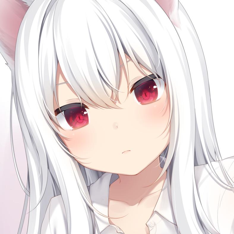 վ'ᴗ' ի