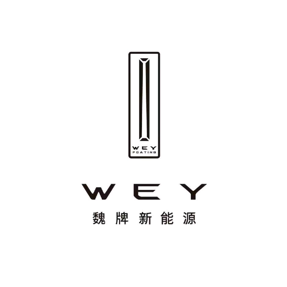 潍坊魏牌新能源