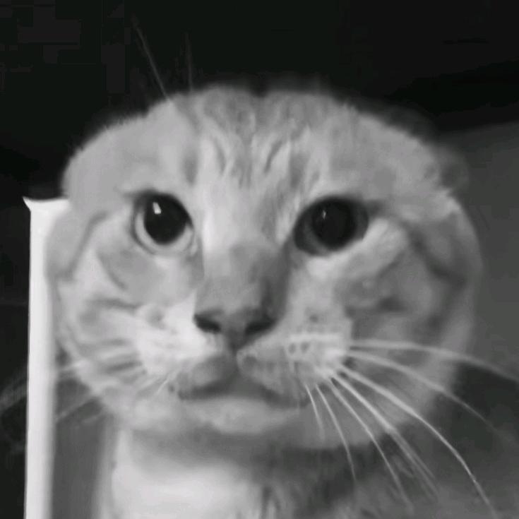 大梦