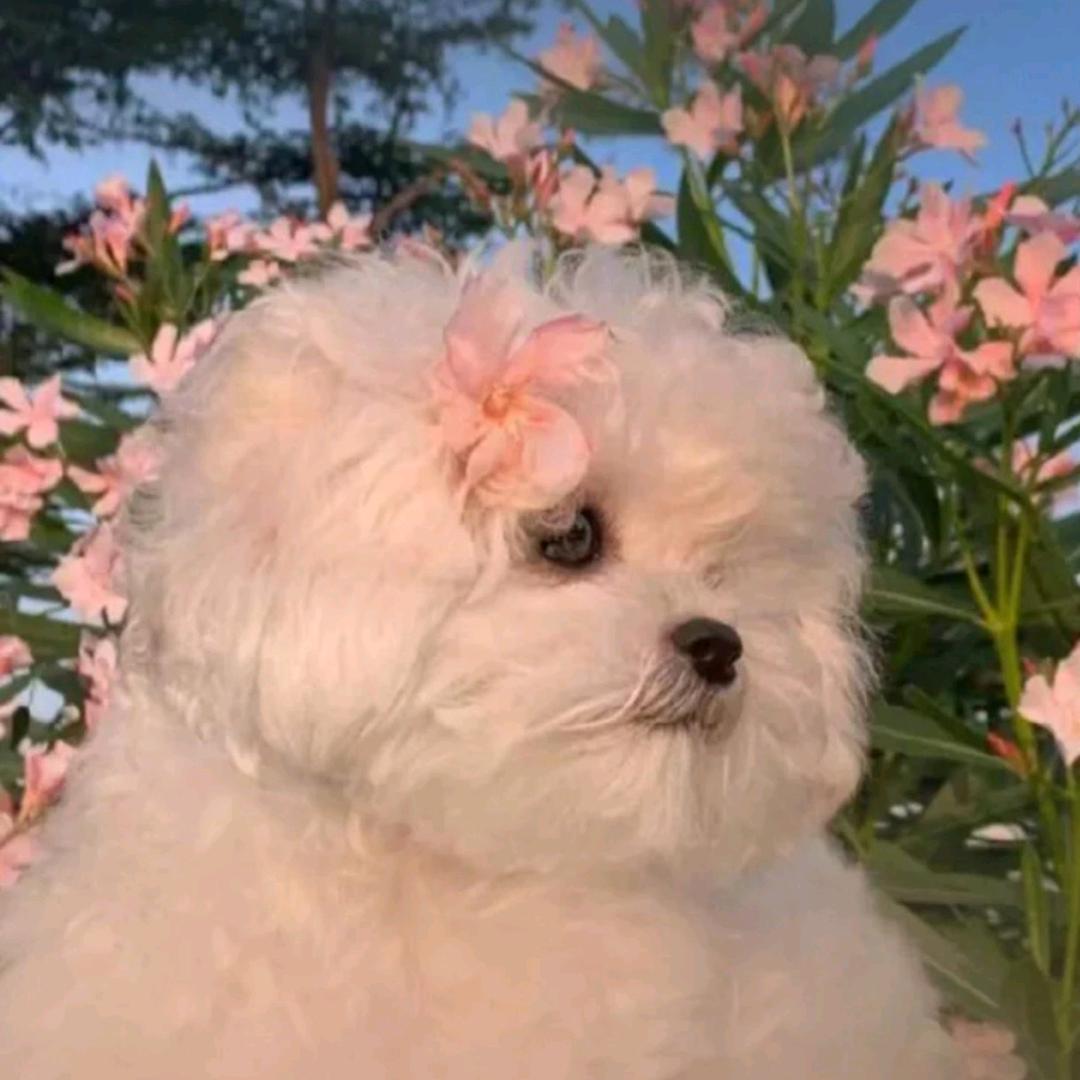 不枉人生走一遭