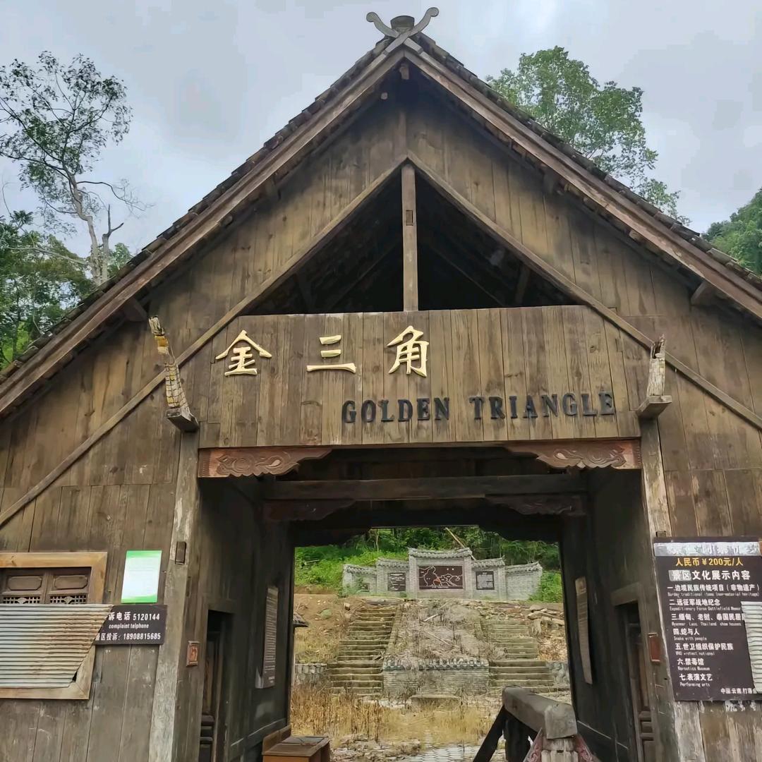 王哥闯天下