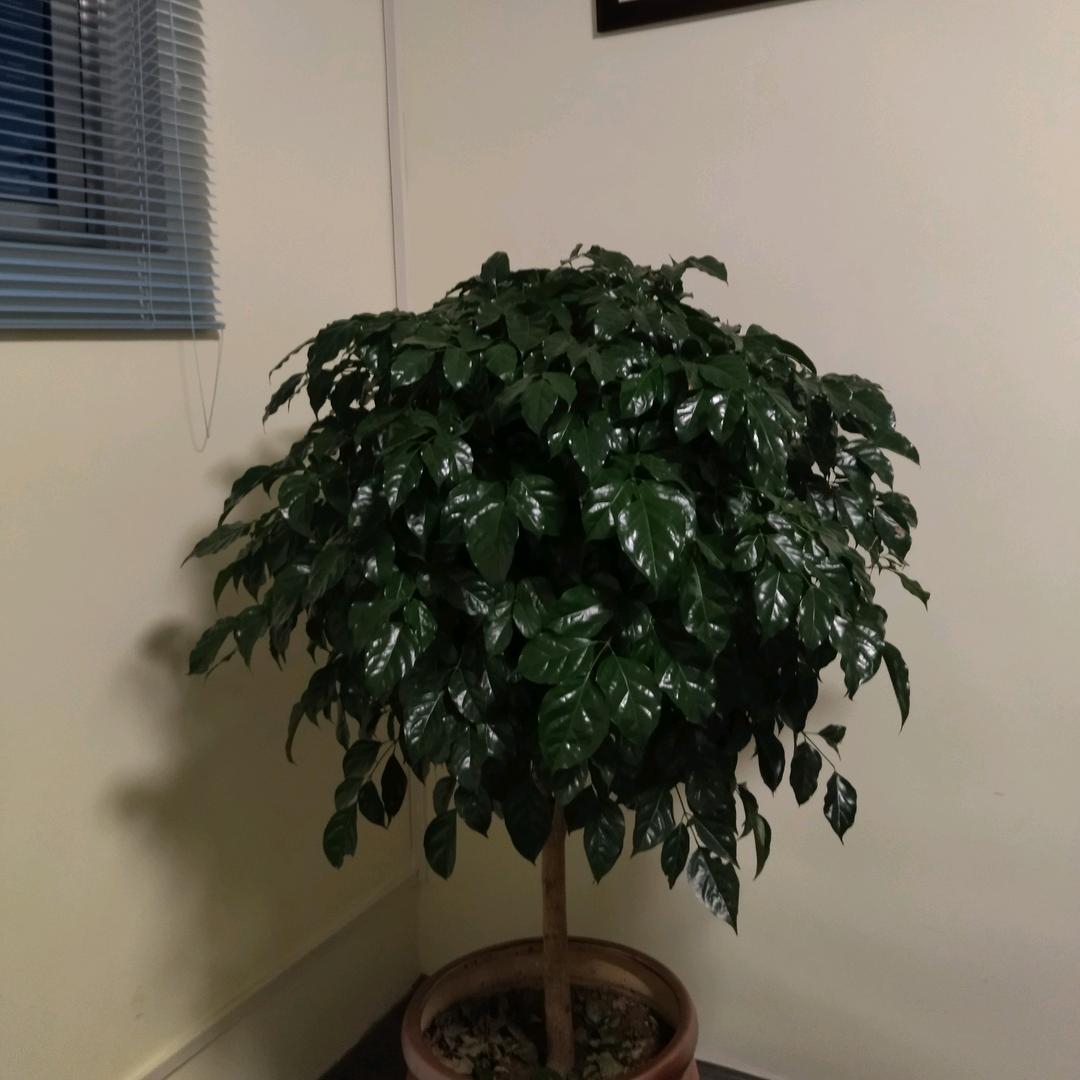 米粒奶奶（拒绝私聊）