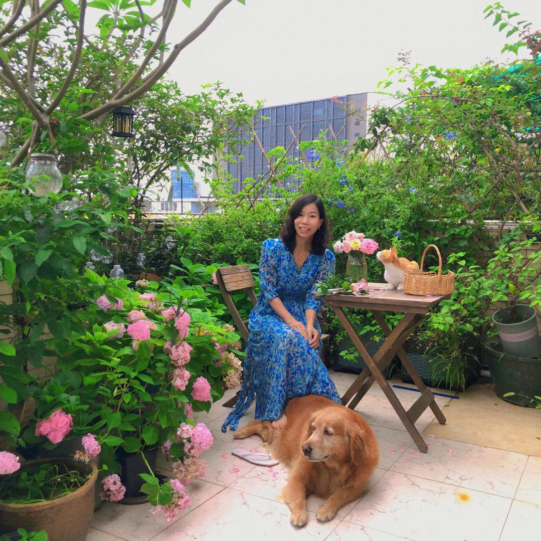 豆姐🐶与咪咪🐱的日常
