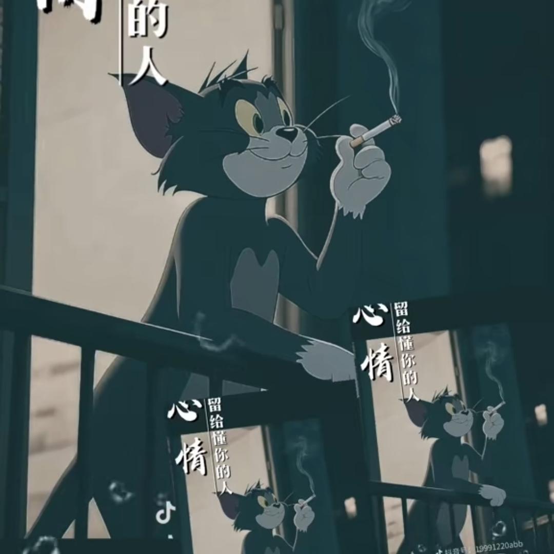 最贵的太阳☀️