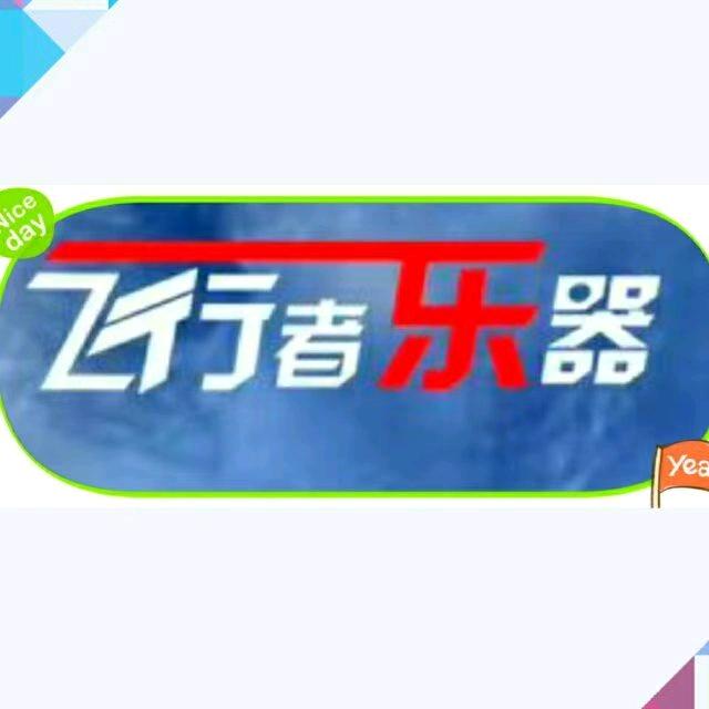 飞行者乐器总店