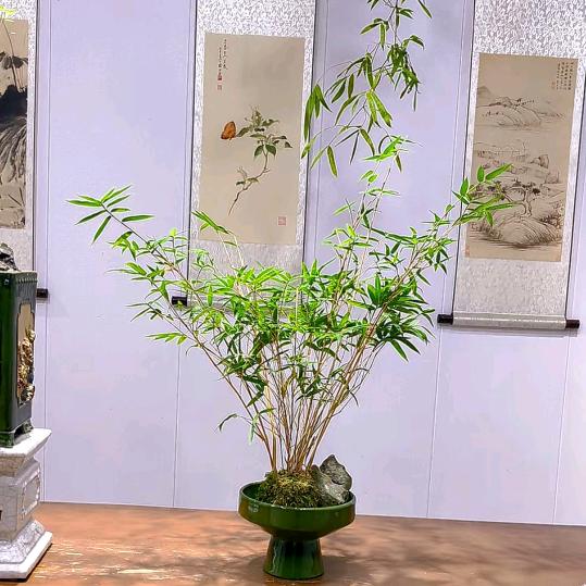 文小婷