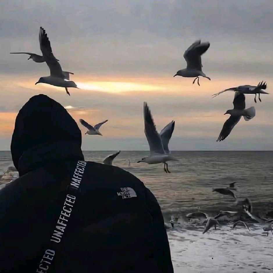 ㅤㅤㅤㅤㅤㅤㅤㅤㅤㅤㅤㅤㅤㅤㅤㅤㅤㅤ