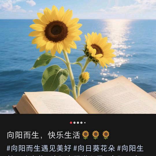 幸运杉杉