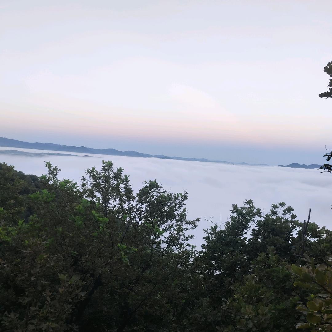 🕊꧔ꦿ᭄💞重生💞🕊