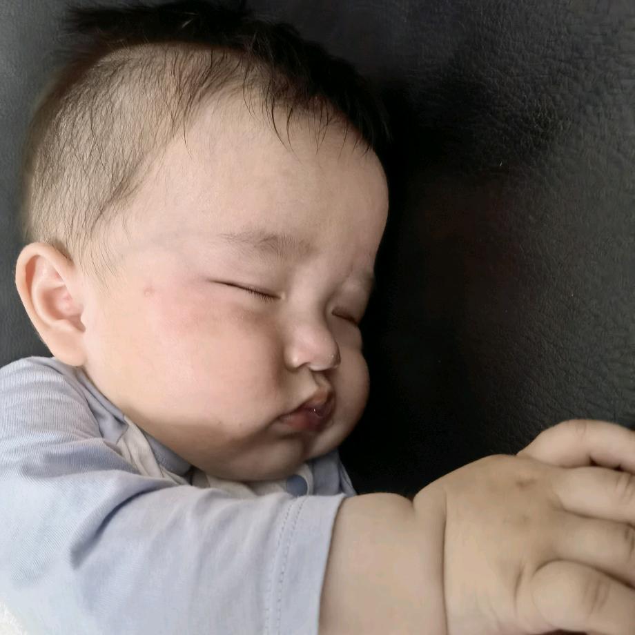 蛋蛋侠之蛋总成长记