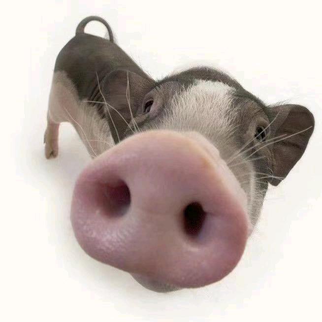 我来看看要怎么把这二十个字的名字给占满嗷