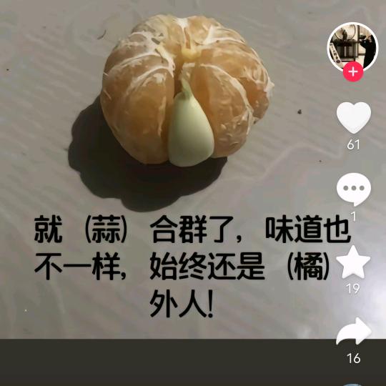 AA 专业美缝