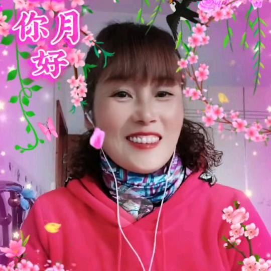 九月菊花