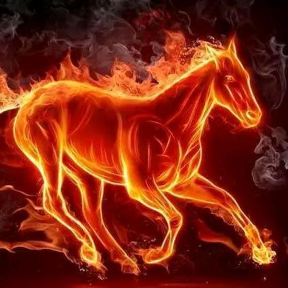 🔥🔥🔥🔥🔥🔥🔥