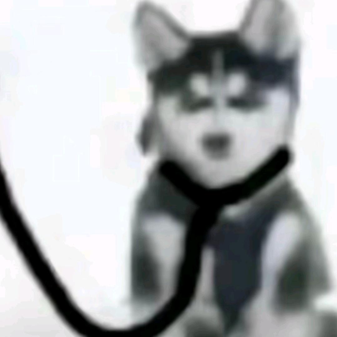 不知名a程