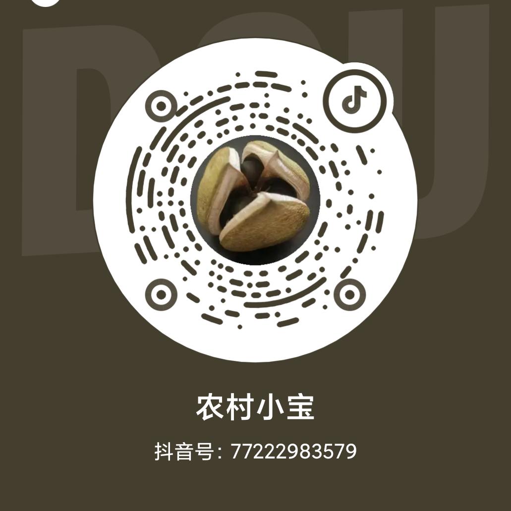 玖离儿