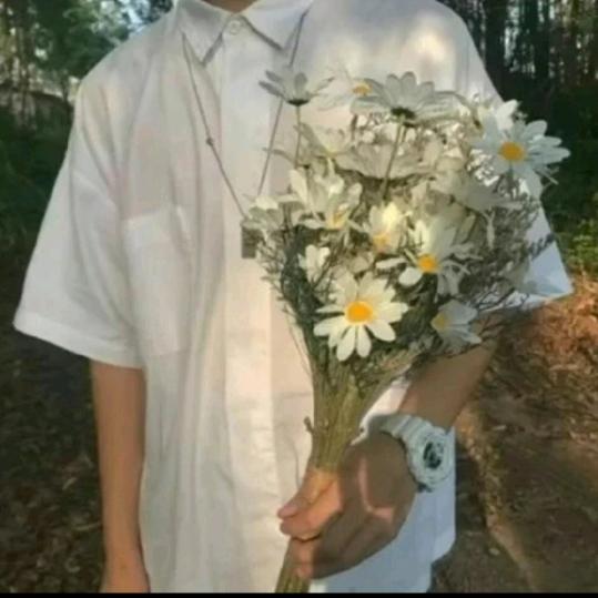 不许人间见白头