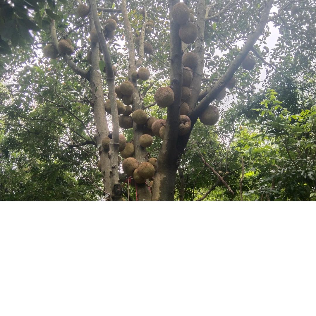 一切顺其自然吧！🙏✊