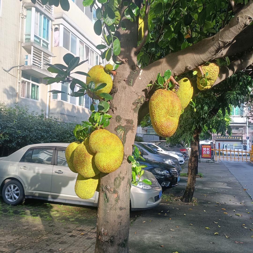 揽住你训