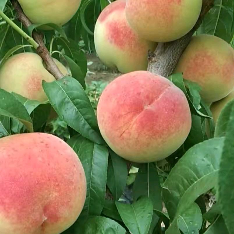 我的世界没有你，拒绝私聊