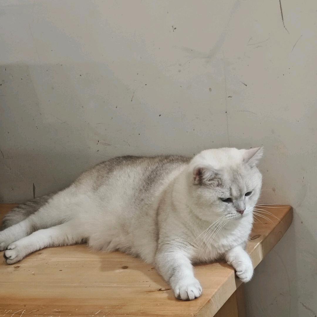 🙈碎碎念