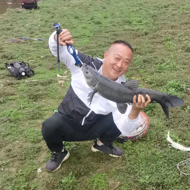 虎牙爱吃鱼