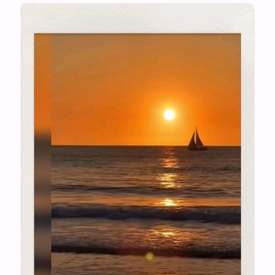 冬梅鲜宰靓鸡（三官塘市场）