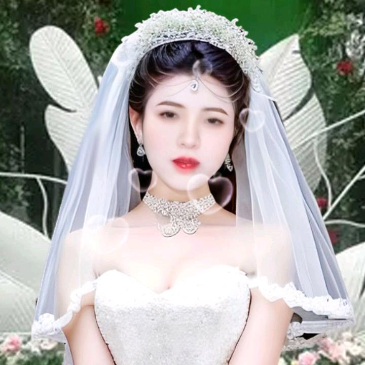 金银花
