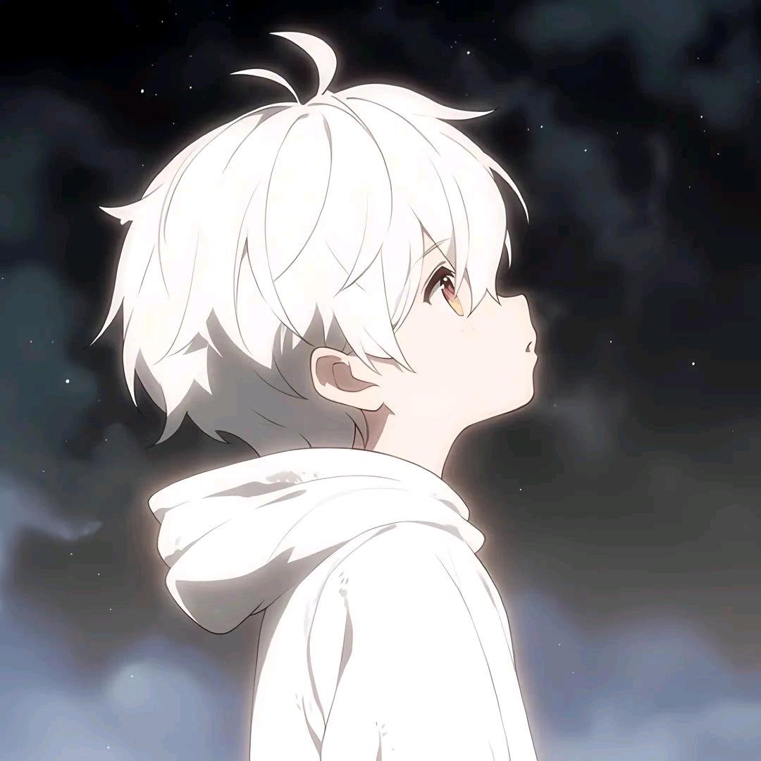 晴枫