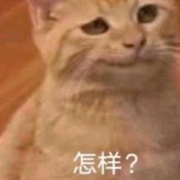 我又饿了i