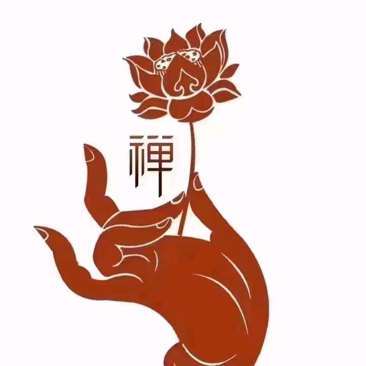 炫智
