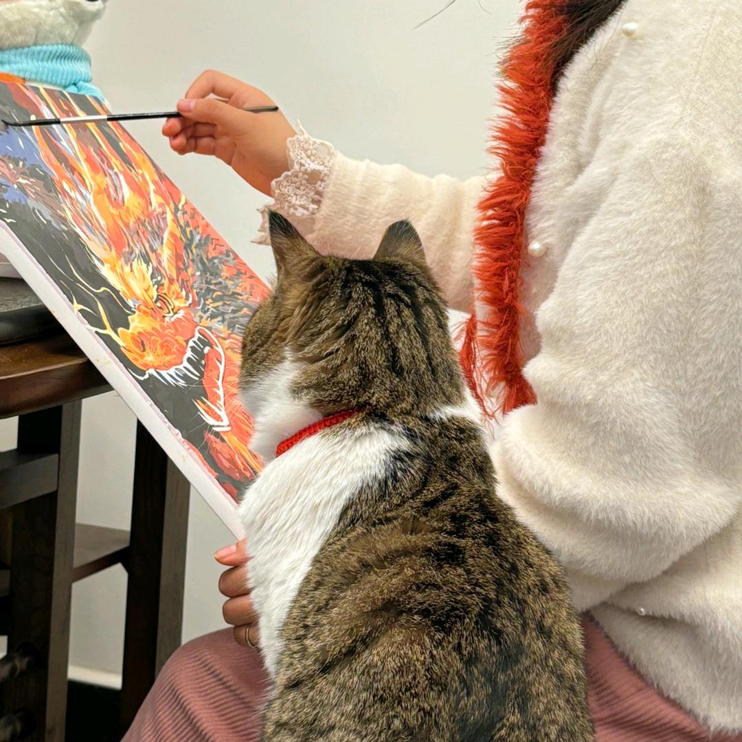 佳佳老师(互关版)