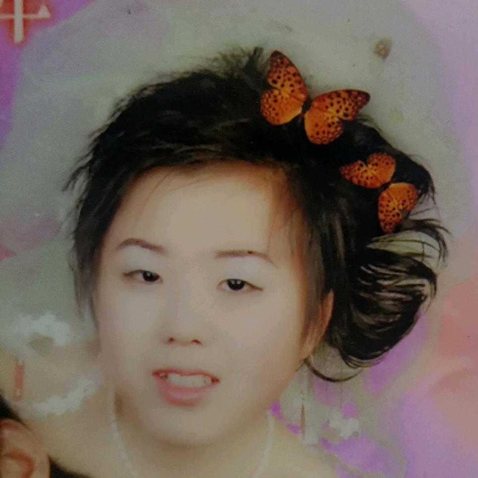 烟花菊٩(￥A￥)۶恭喜发财