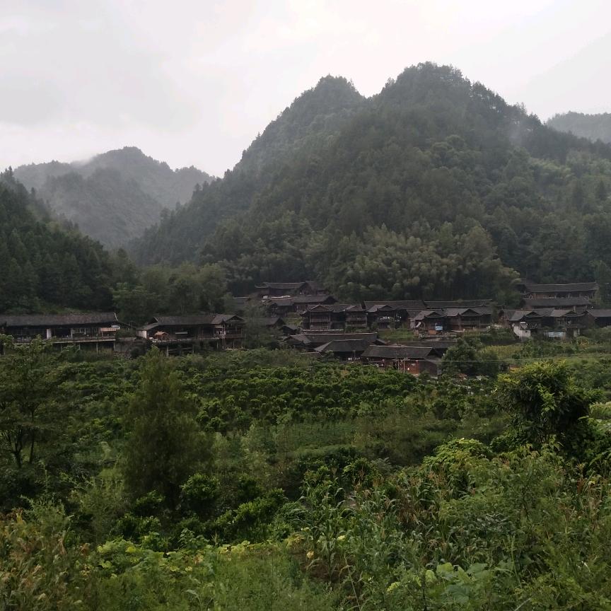 卓一个有缘人
