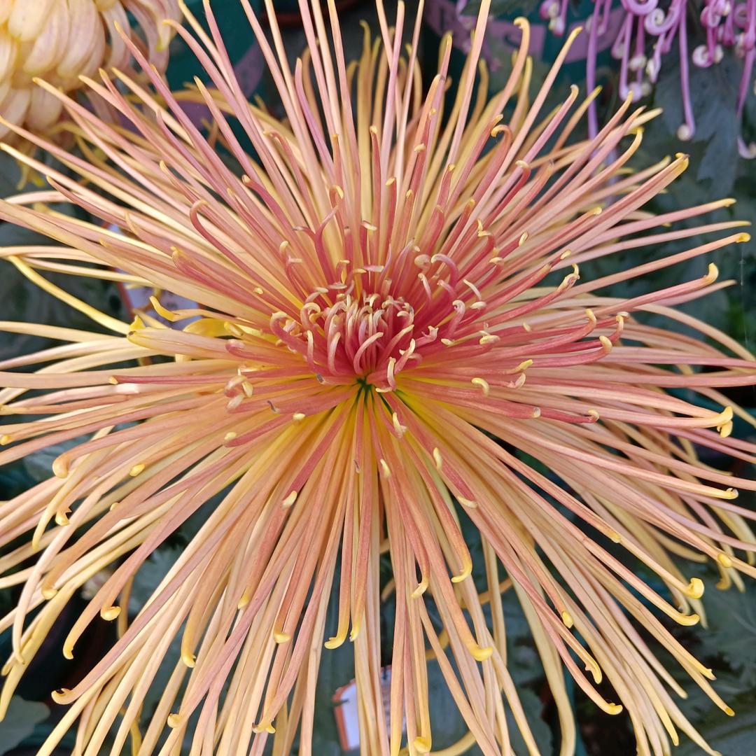 后半生要知道爱自己