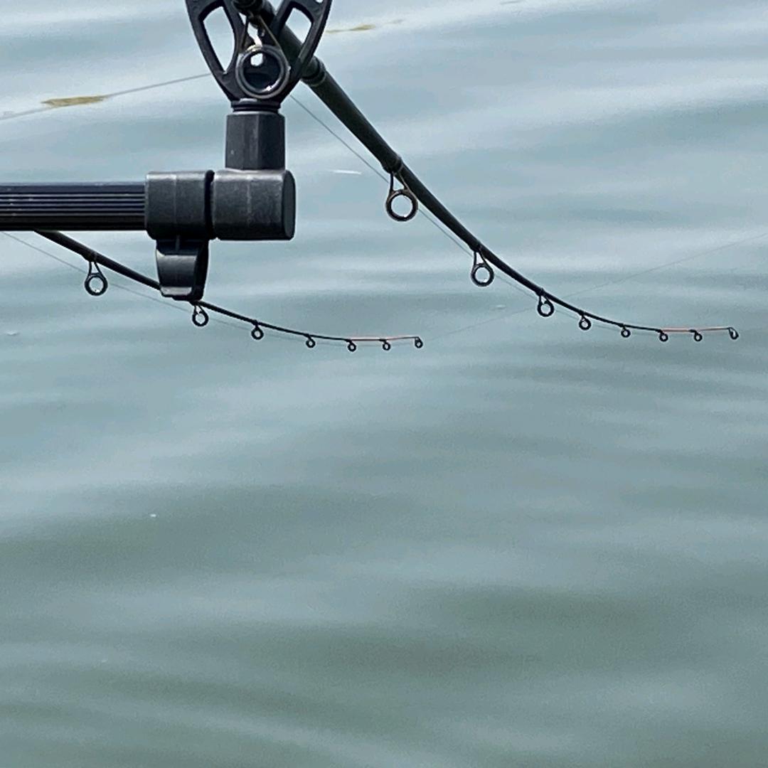 飞德大叔🎣（飞德钓鱼）